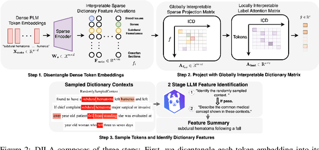 Figure 3 for DILA: Dictionary Label Attention for Mechanistic Interpretability in High-dimensional Multi-label Medical Coding Prediction