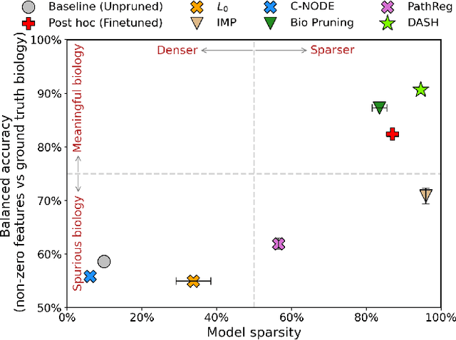 Figure 1 for Not all tickets are equal and we know it: Guiding pruning with domain-specific knowledge