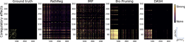 Figure 3 for Not all tickets are equal and we know it: Guiding pruning with domain-specific knowledge