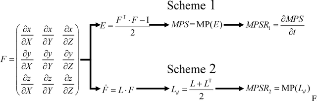 Figure 1 for Differences between Two Maximal Principal Strain Rate Calculation Schemes in Traumatic Brain Analysis with in-vivo and in-silico Datasets