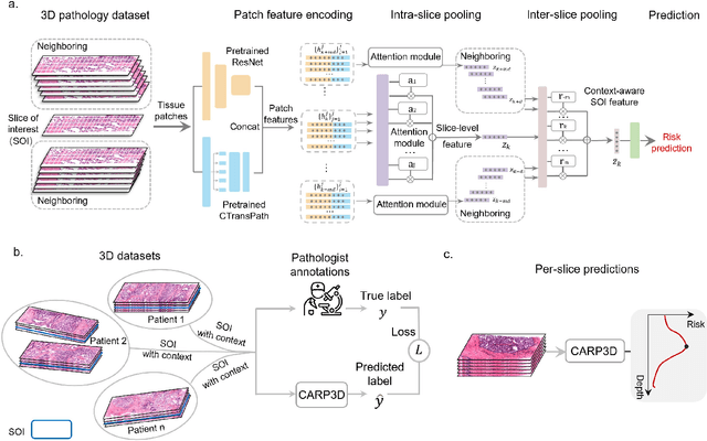 Figure 3 for Triage of 3D pathology data via 2.5D multiple-instance learning to guide pathologist assessments