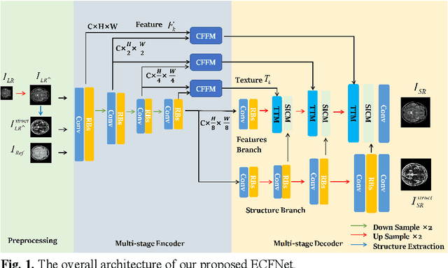 Figure 1 for Edge-guided and Cross-scale Feature Fusion Network for Efficient Multi-contrast MRI Super-Resolution