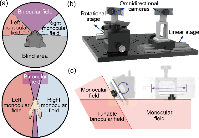 Figure 1 for Bio-inspired reconfigurable stereo vision for robotics using omnidirectional cameras