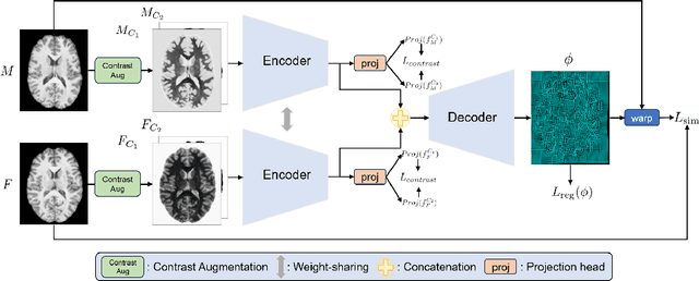 Figure 1 for CAR: Contrast-Agnostic Deformable Medical Image Registration with Contrast-Invariant Latent Regularization