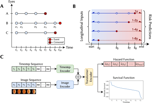 Figure 3 for Harnessing the power of longitudinal medical imaging for eye disease prognosis using Transformer-based sequence modeling