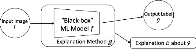 Figure 1 for XAI Benchmark for Visual Explanation