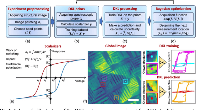 Figure 1 for Unraveling the Impact of Initial Choices and In-Loop Interventions on Learning Dynamics in Autonomous Scanning Probe Microscopy