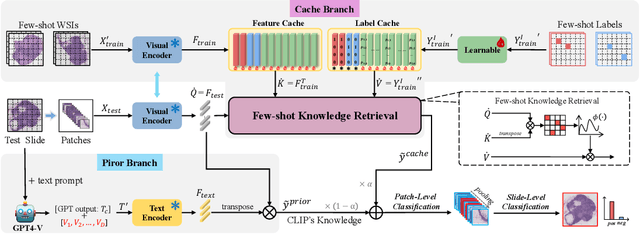 Figure 3 for FAST: A Dual-tier Few-Shot Learning Paradigm for Whole Slide Image Classification