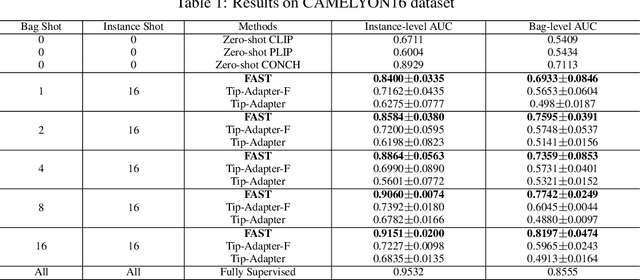 Figure 2 for FAST: A Dual-tier Few-Shot Learning Paradigm for Whole Slide Image Classification