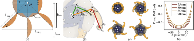 Figure 3 for Design and Central Pattern Generator Control of a New Transformable Wheel-Legged Robot