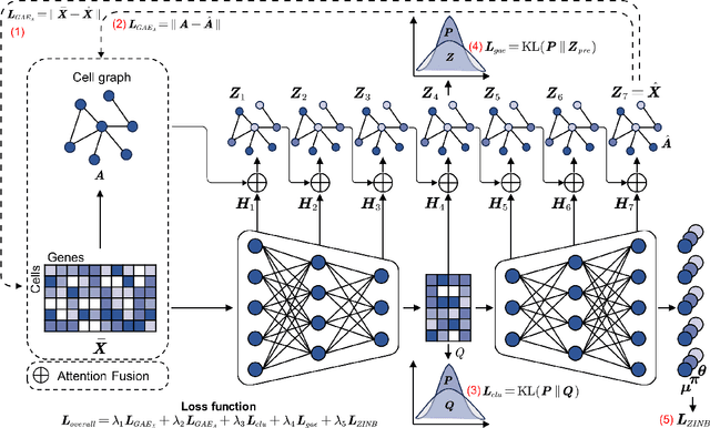 Figure 1 for scASDC: Attention Enhanced Structural Deep Clustering for Single-cell RNA-seq Data