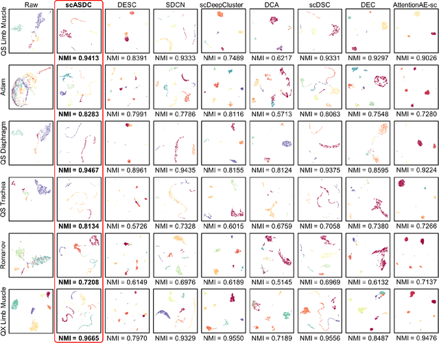 Figure 3 for scASDC: Attention Enhanced Structural Deep Clustering for Single-cell RNA-seq Data