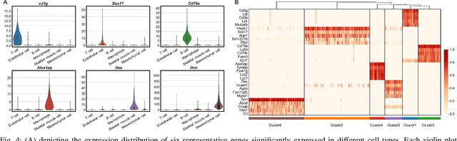 Figure 4 for scASDC: Attention Enhanced Structural Deep Clustering for Single-cell RNA-seq Data