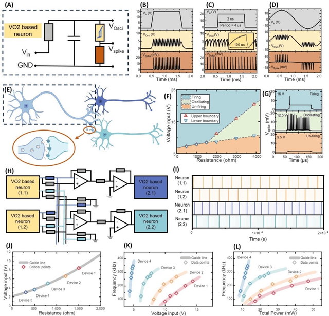 Figure 3 for Oxygen vacancies modulated VO2 for neurons and Spiking Neural Network construction