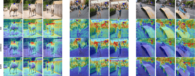 Figure 4 for Can Visual Foundation Models Achieve Long-term Point Tracking?