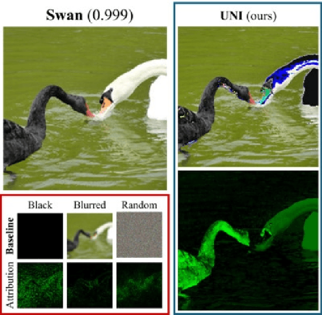 Figure 3 for Unlearning-based Neural Interpretations