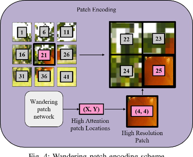 Figure 4 for SpectralZoom: Efficient Segmentation with an Adaptive Hyperspectral Camera