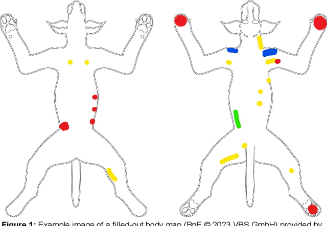 Figure 1 for Enhancing Canine Musculoskeletal Diagnoses: Leveraging Synthetic Image Data for Pre-Training AI-Models on Visual Documentations