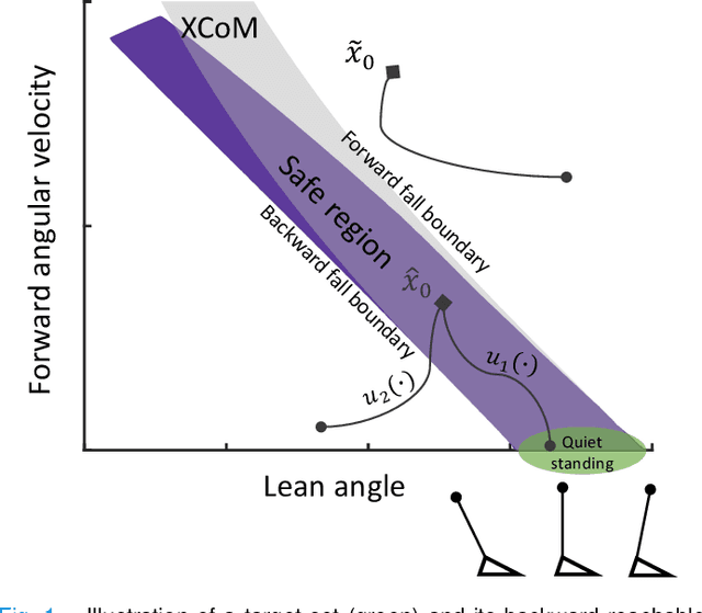 Figure 1 for Ankle Exoskeletons May Hinder Standing Balance in Simple Models of Older and Younger Adults