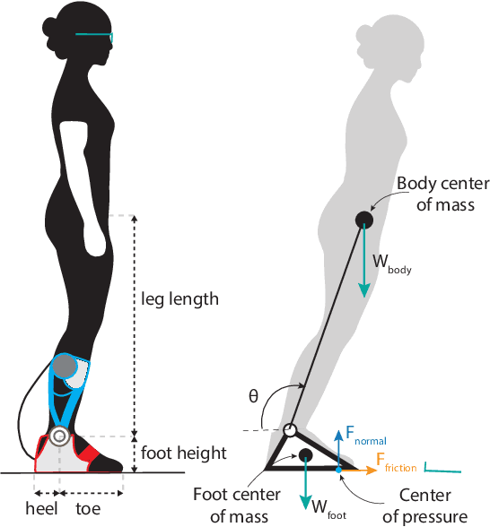 Figure 2 for Ankle Exoskeletons May Hinder Standing Balance in Simple Models of Older and Younger Adults