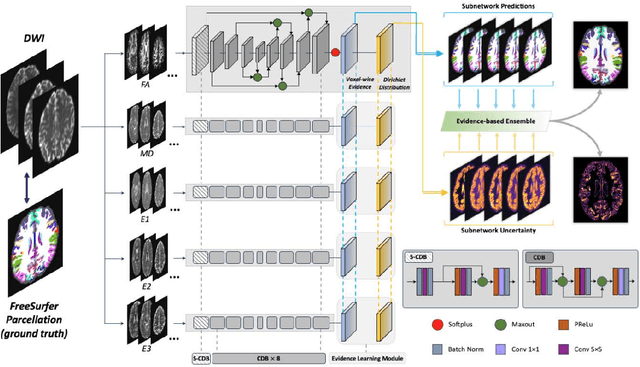 Figure 3 for EVENet: Evidence-based Ensemble Learning for Uncertainty-aware Brain Parcellation Using Diffusion MRI