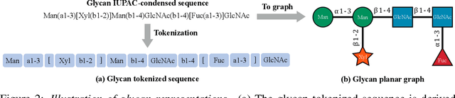 Figure 3 for GlycanML: A Multi-Task and Multi-Structure Benchmark for Glycan Machine Learning