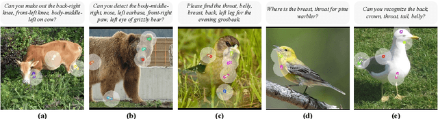 Figure 3 for OpenKD: Opening Prompt Diversity for Zero- and Few-shot Keypoint Detection