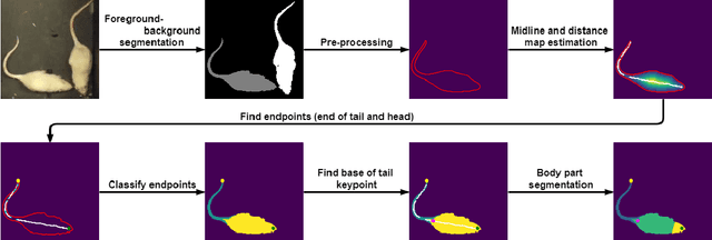 Figure 3 for A Self-Supervised Method for Body Part Segmentation and Keypoint Detection of Rat Images