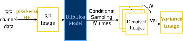 Figure 1 for Ultrasound Image Enhancement with the Variance of Diffusion Models