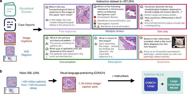 Figure 1 for A Foundational Multimodal Vision Language AI Assistant for Human Pathology