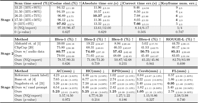 Figure 2 for MMSummary: Multimodal Summary Generation for Fetal Ultrasound Video