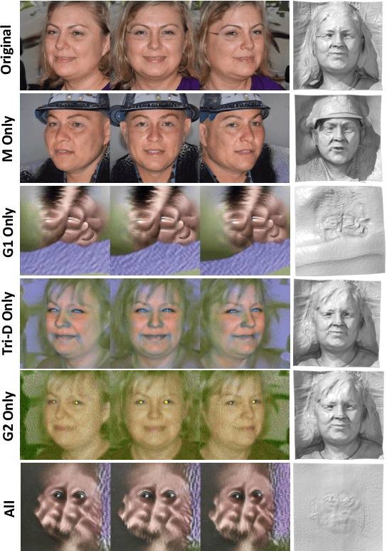 Figure 1 for One-shot Generative Domain Adaptation in 3D GANs