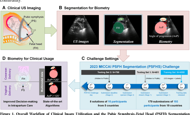 Figure 1 for PSFHS Challenge Report: Pubic Symphysis and Fetal Head Segmentation from Intrapartum Ultrasound Images