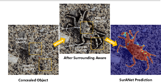 Figure 1 for SurANet: Surrounding-Aware Network for Concealed Object Detection via Highly-Efficient Interactive Contrastive Learning Strategy