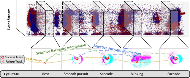 Figure 1 for MambaPupil: Bidirectional Selective Recurrent model for Event-based Eye tracking