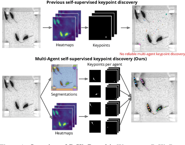 Figure 1 for Learning Keypoints for Multi-Agent Behavior Analysis using Self-Supervision