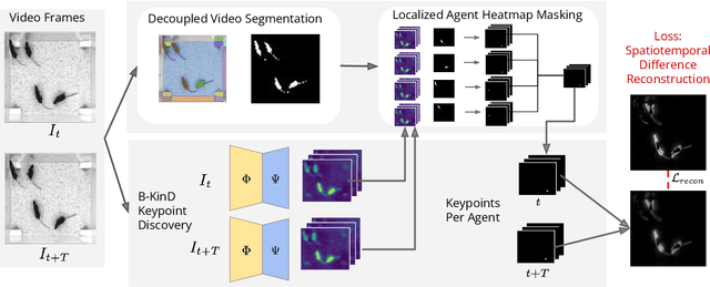 Figure 3 for Learning Keypoints for Multi-Agent Behavior Analysis using Self-Supervision