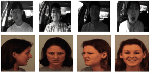 Figure 2 for Shuffle Vision Transformer: Lightweight, Fast and Efficient Recognition of Driver Facial Expression