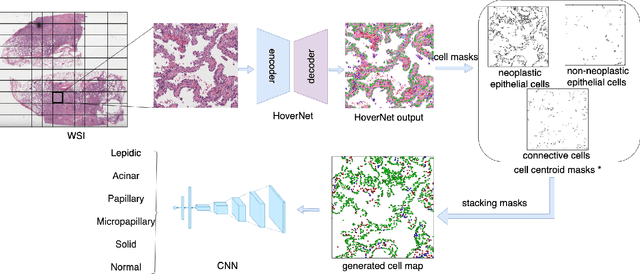 Figure 3 for Cell Maps Representation For Lung Adenocarcinoma Growth Patterns Classification In Whole Slide Images