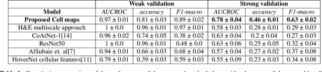 Figure 2 for Cell Maps Representation For Lung Adenocarcinoma Growth Patterns Classification In Whole Slide Images