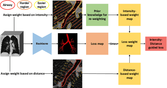 Figure 2 for Intensity Confusion Matters: An Intensity-Distance Guided Loss for Bronchus Segmentation