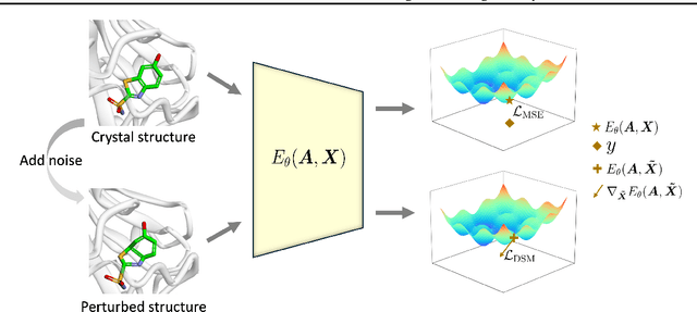 Figure 3 for DualBind: A Dual-Loss Framework for Protein-Ligand Binding Affinity Prediction