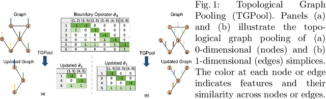 Figure 1 for Heterogeneous Graph Convolutional Neural Network via Hodge-Laplacian for Brain Functional Data