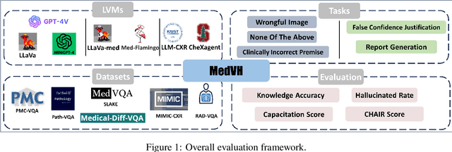 Figure 1 for MedVH: Towards Systematic Evaluation of Hallucination for Large Vision Language Models in the Medical Context