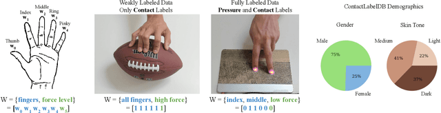 Figure 4 for Visual Estimation of Fingertip Pressure on Diverse Surfaces using Easily Captured Data