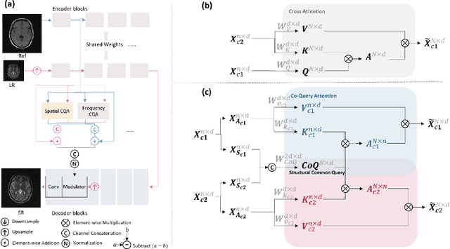 Figure 1 for SGSR: Structure-Guided Multi-Contrast MRI Super-Resolution via Spatio-Frequency Co-Query Attention