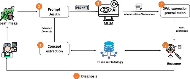 Figure 1 for Enhancing Explainability in Multimodal Large Language Models Using Ontological Context