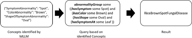 Figure 3 for Enhancing Explainability in Multimodal Large Language Models Using Ontological Context