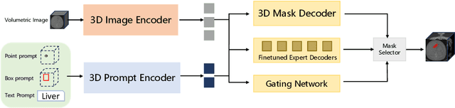 Figure 3 for SAM-Med3D-MoE: Towards a Non-Forgetting Segment Anything Model via Mixture of Experts for 3D Medical Image Segmentation