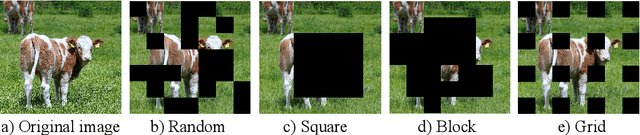 Figure 4 for Self-Supervised Learning for Real-World Object Detection: a Survey